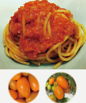 湘南ポモロンゴールド スパゲティー